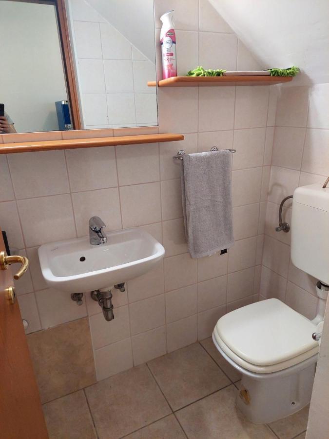 Fortuna Apartment Tar-Vabriga エクステリア 写真